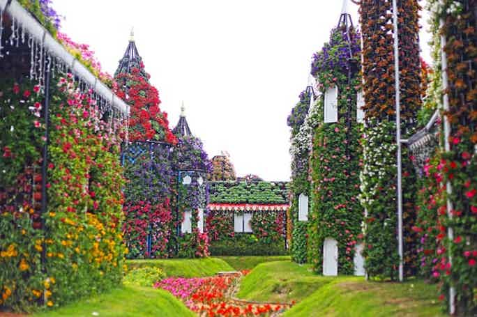 Парк цветов Miracle Garden и всемирная ярмарка Global Village из Фуджейры