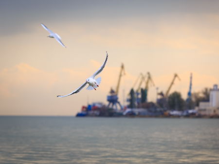 Градоначальничий дом