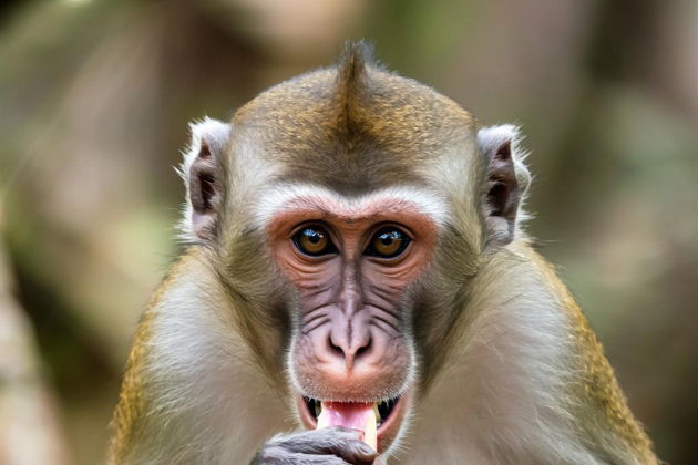 Древний Хампи