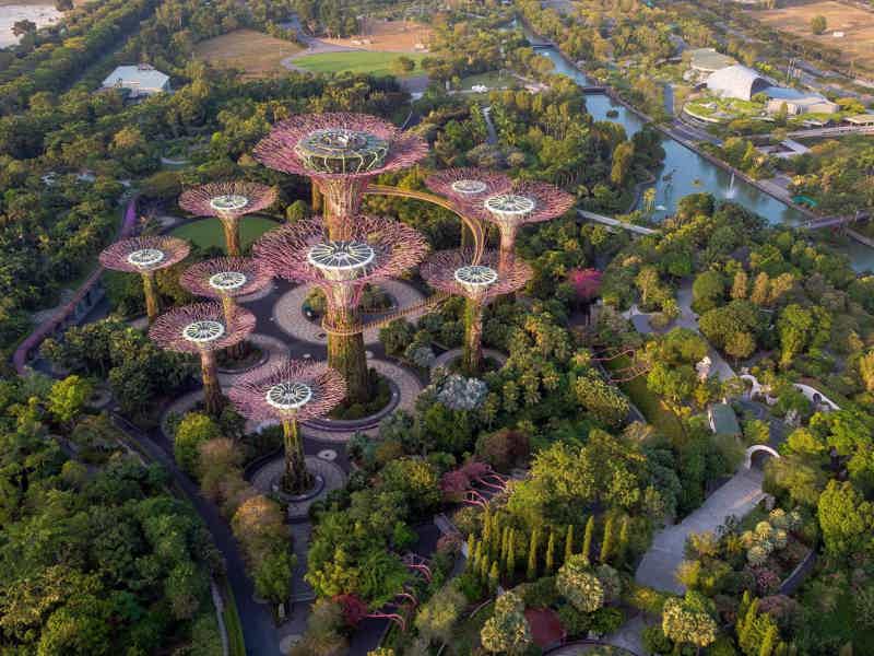 Сады Сингапура: Цветочный купол и Заоблачный лес - фото 2