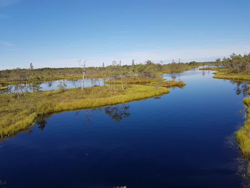 Природная тропа Большого Кемерского болота - фото 5