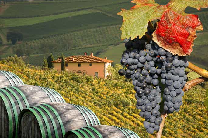 Adventure in Florence: taste the Chianti Wine in our Tasting day trip