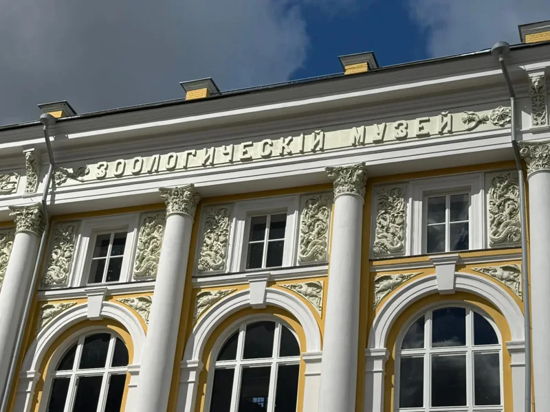Как Москва училась учиться: от первых школ до университета на Моховой — фото 5, Москва | Покатаем