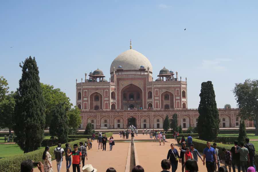 Незабываемые дни в Дели - фото 4