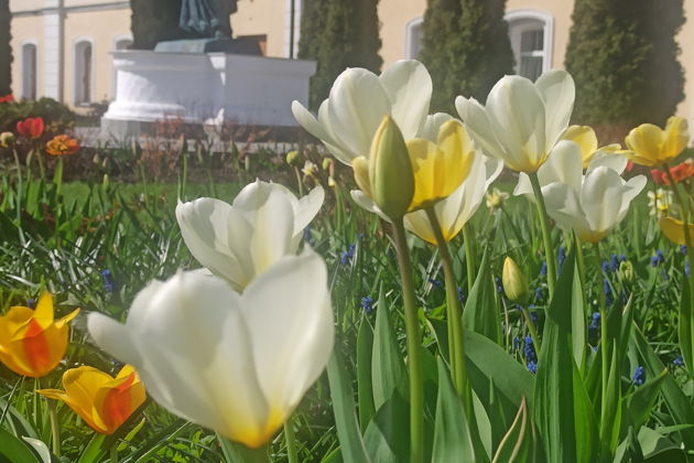 Главное изображение экскурсии - Старинный город и его духовная жемчужина