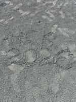 Экскурсия "4 Чуда: Озеро Салда, Памуккале, Иераполис, и Бассейн Клеопатры из Алании" - фото отзыва 4