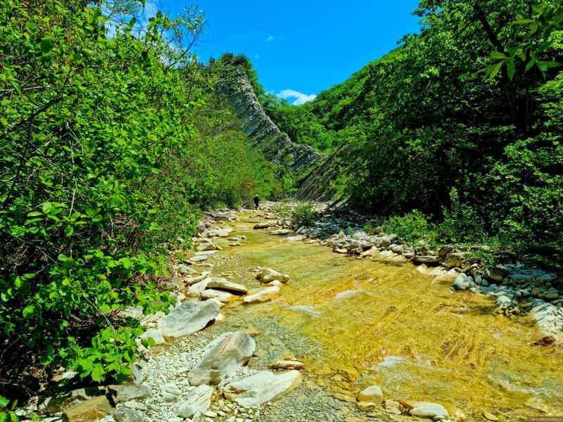 Дикая река Коаго: сказочная природа и бирюзовые лагуны с водопадами  - фото 2