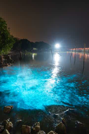 Вечерний каякинг