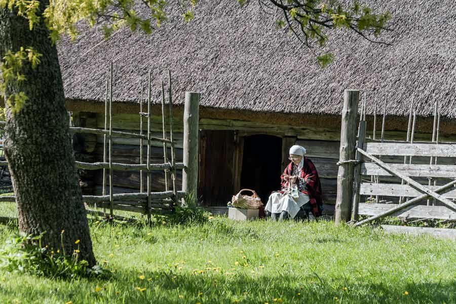 Машина времени или приключения в деревне эстонской  - фото 3