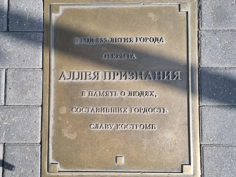 Новогодняя Кострома: прогулка по центру города — фото 7, Кострома | Покатаем