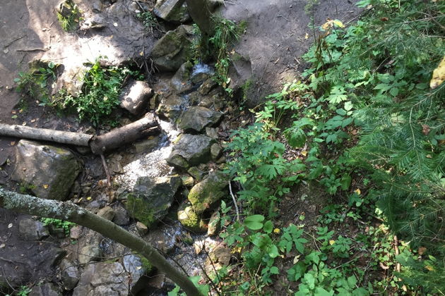 Виды Путешествие в природный парк «Оленьи ручьи»