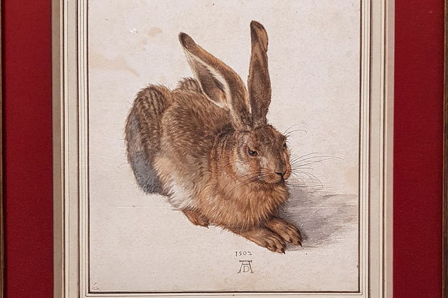 Главное изображение экскурсии - Арт-тур по временным и постоянным выставкам в Галерее Альбертина