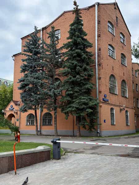 Пешеходная экскурсия «Павел Третьяков: из мира барыша к миру культуры» - фото 3