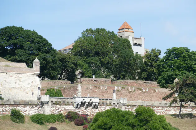 Разные лики Белграда: Новый Белград, Старый город и Земун — фото 3