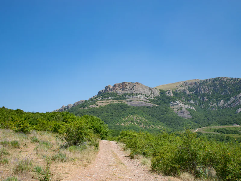 Прогулка по сказочному крымскому лесу: Иван да Марья — фото 2, Алушта | Покатаем
