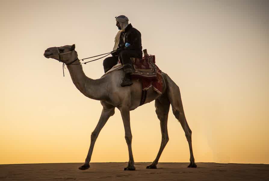 An amazing Desert Safari Evening: Camel Ride and BBQ-dinner are included - photo 5
