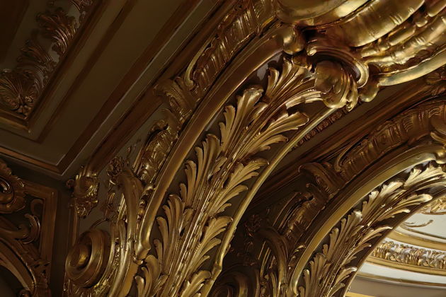 Виды Парадные и жилые покои Юсуповского дворца