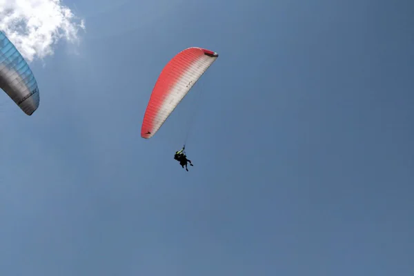 Exciting and unforgettable Eco-Mountain-Paragliding Tour — photo 4, Tashkent | Pokataem