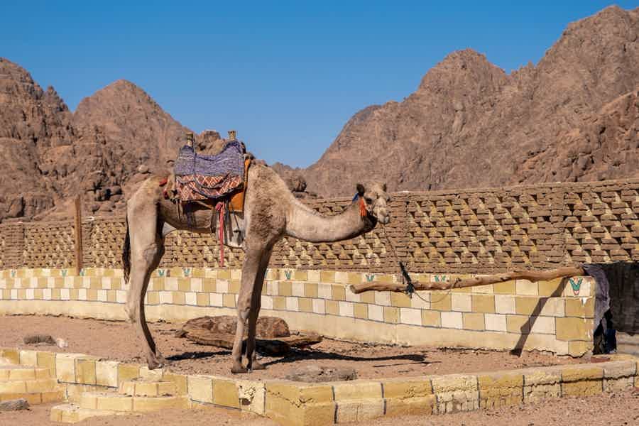 Катание на багги по Аравийской пустыне индивидуально - фото 2