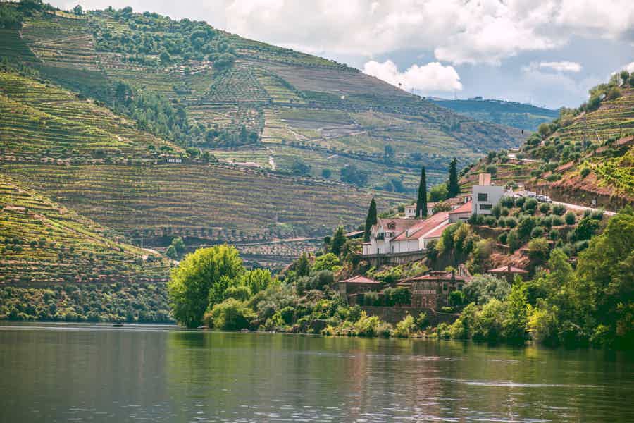 Douro Valley Wineries w/ Tasting + 1-Hour River Cruise w/ Lunch - photo 4