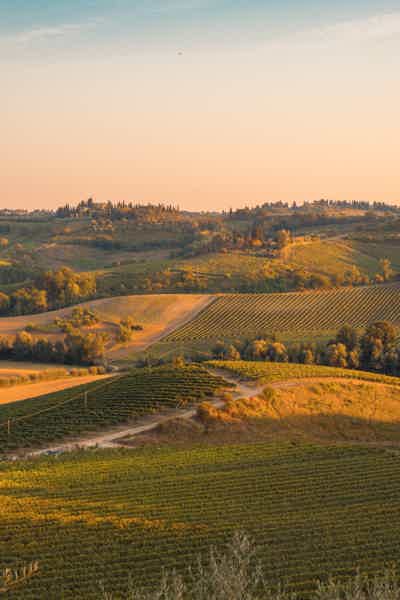 Tuscany by Vespa Full-Day Tour to Chianti Wine Region    - photo 1