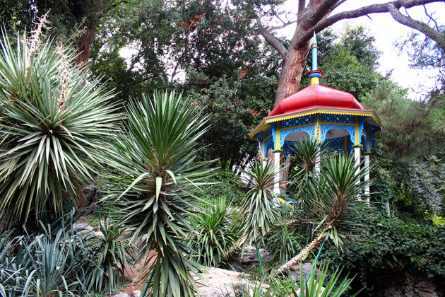 Виды Бал хризантем в Никитском ботаническом саду.