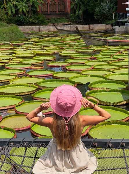 Аватар: Гигантские кувшинки. Самет Нангше. Слоны. Плоты. Квадроциклы. Закат - фото 1