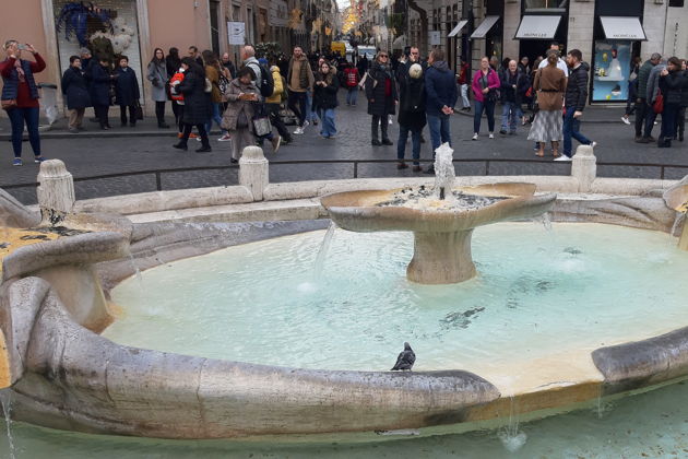 Виды Прогулка по историческому центру