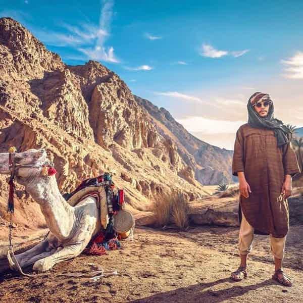 VIP сафари на верблюдах к Синайским горам - фото 4