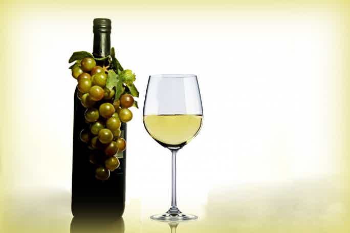 Завод шампанских вин Абрау-Дюрсо: экскурсии и дегустации