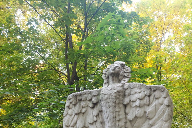 Виды Кино и немцы