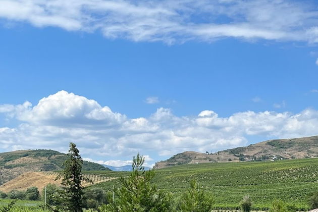 Виды Фирменный отдых: горы, ремесло, вино