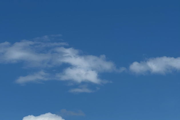 Виды Самая гламурная площадь Петербурга: Исаакиевская