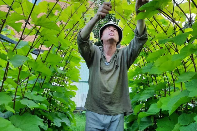 Виды «В гостях у Винодела» на Садгороде