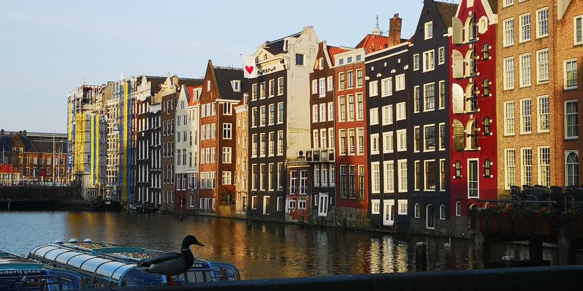 Авторская пешеходная нескучная экскурсия по Амстердаму - фото 5