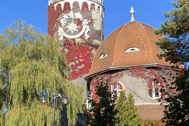 Лучшие курорты — Зеленоградск и Светлогорск + сыроварня «Шаакен Дорф»