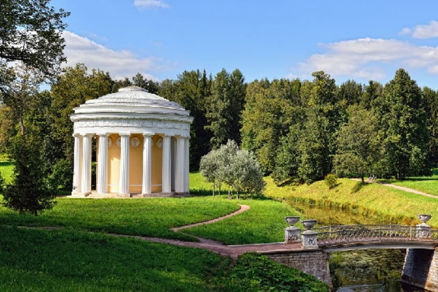 Виды Романтика Павловска