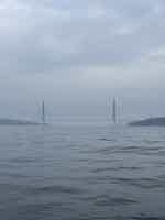 Экскурсия "Морское путешествие к островам Японского моря и морским котикам" - фото отзыва 3