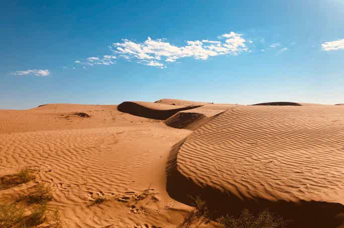 Бархан Большой брат: Путешествие в астраханскую пустыню
