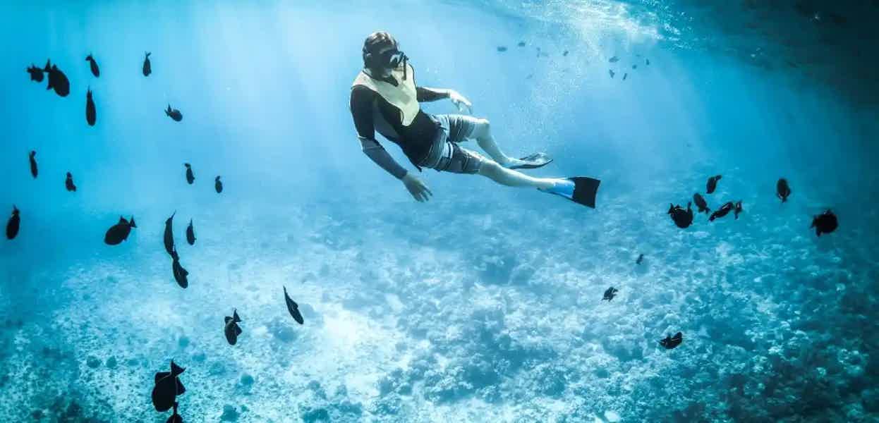 Diving in Alanya - photo 5