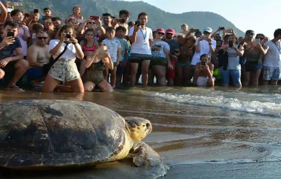 Dalyan Tour from Bodrum - photo 2