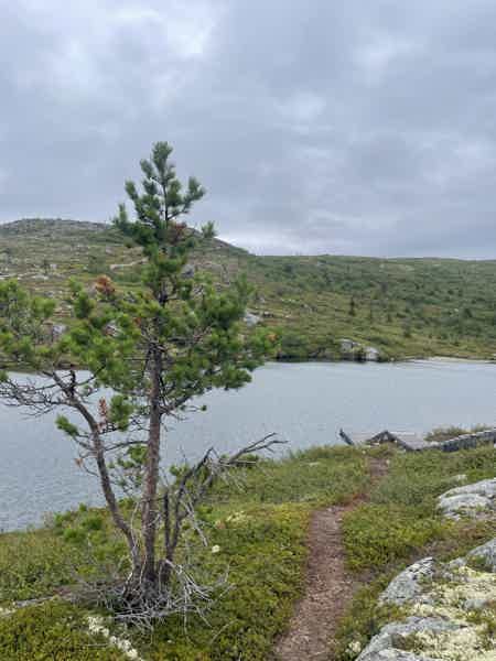 Кандалакша и Белое море с горы Волосяной - фото 5