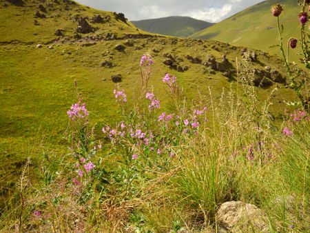 Долина нарзанов