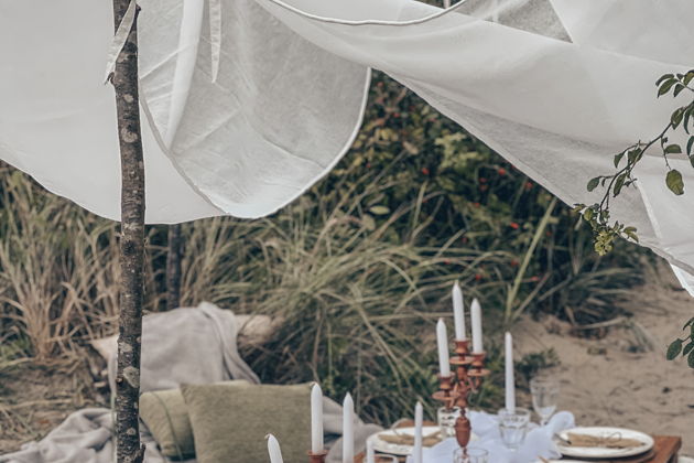 Виды Дизайнерские пикники