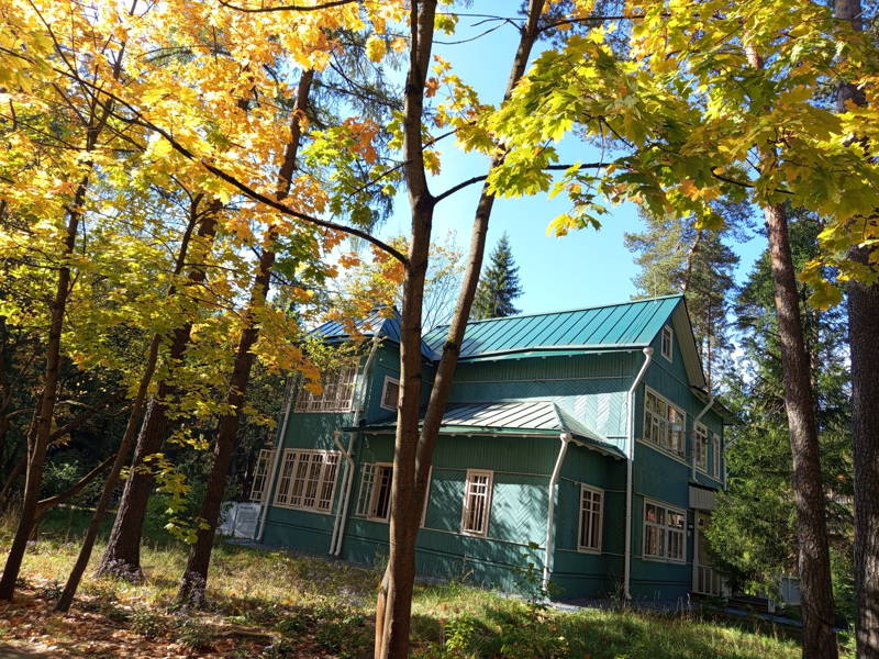 По литературным местам осеннего Переделкина