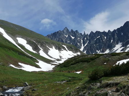 Ганальские востряки