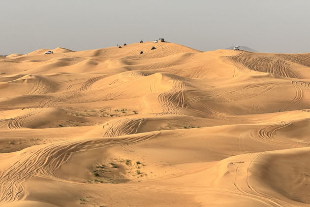 Виды Пустынное Сафари в Дубае с ужином, шоу и катанием на верблюдах