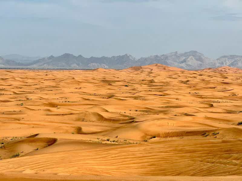 Увлекательное сафари в пустыне без ужина и шоу-программы - фото 3