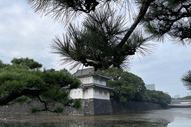 Императорский дворец и современная японская монархия