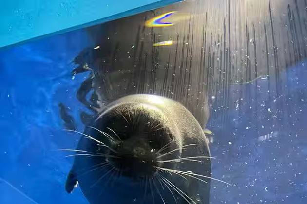 Виды Листвянка - знакомство с Байкалом за один день (группа до 5 чел)